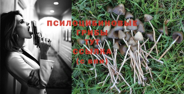 прущая мука Абаза