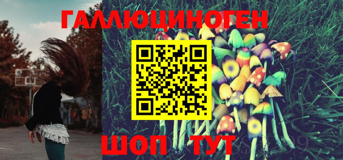Галлюциногенные грибы мухоморы  Вход с VPN  Псилоцибиновые грибы Cubensis  Владикавказ 