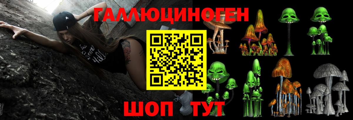 Галлюциногенные грибы GOLDEN TEACHER Владикавказ